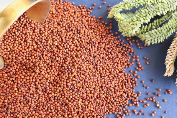 सरकार ने इस साल 3100 मीट्रिक टन मंडुआ खरीदा